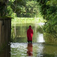 Why the climate crisis is a women’s rights crisis 