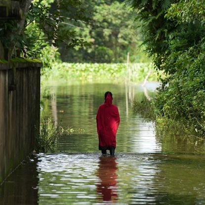 Why the climate crisis is a women’s rights crisis 