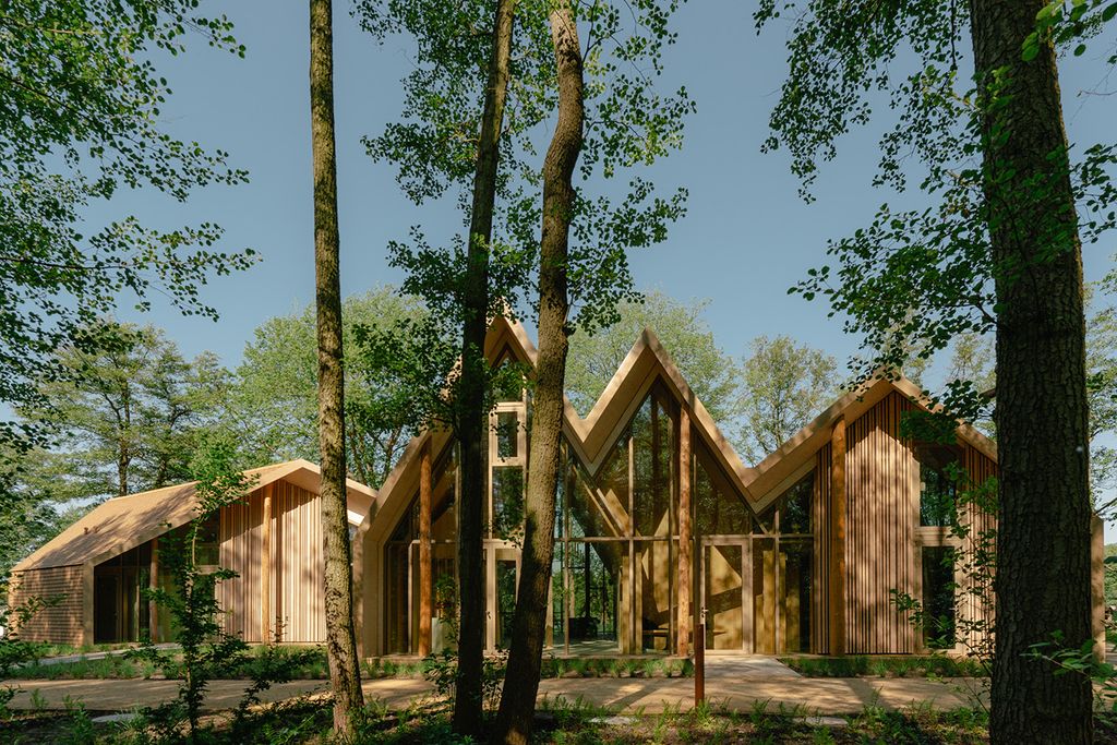 Cabins in the woods