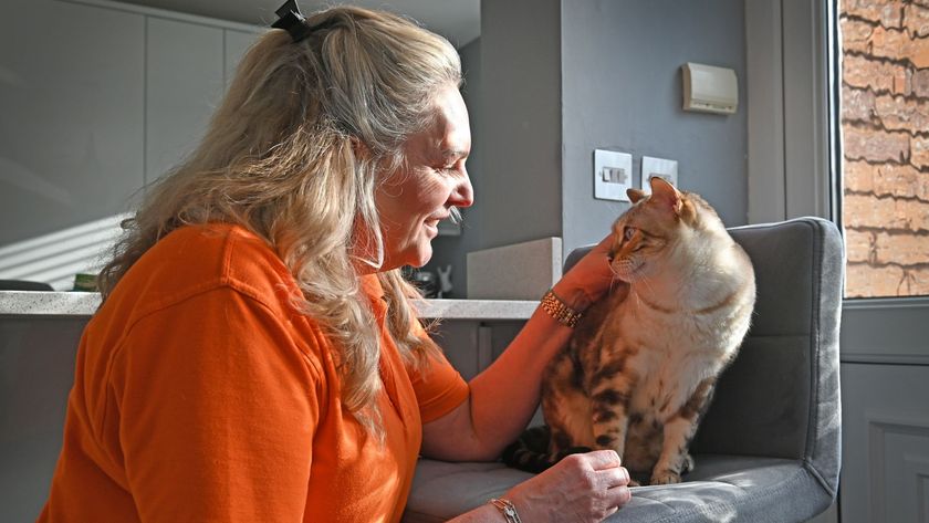 Amanda stroking her cat who sits on a chair