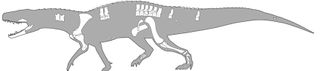 The bones of Nundasuchus uncovered by researchers show the anatomy of the 9-foot-long carnivorous reptile.