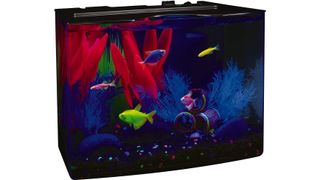 GloFish small fish tank with Hood, LED Lights and Whisper Filter