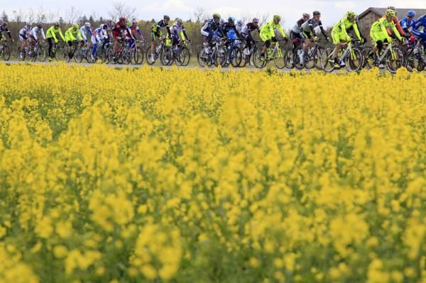The Giro races through the Danish countryside