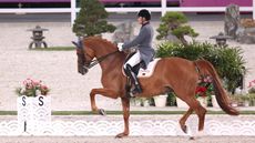 World Dressage Championships results Jos&eacute; Antonio Garcia Mena and Divina Royal