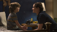   Wonder