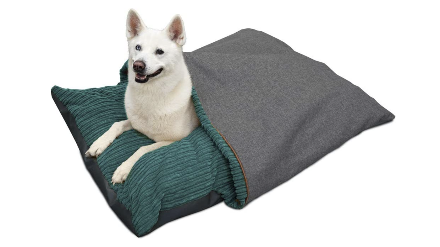Husky dog in dog bed with cover