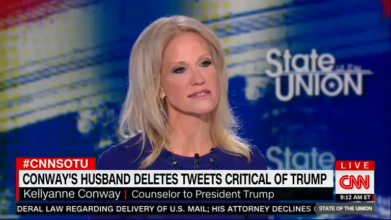 Kellyanne Conway on CNN