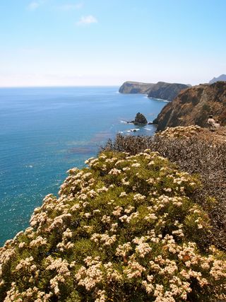 Galapagos of North America, whale watching spots, endangered ecosystems, national parks