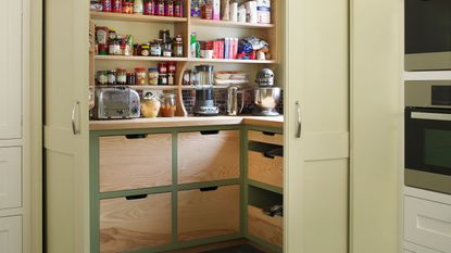 pantry with shelves and closed storage