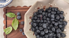 blueberries on a tray