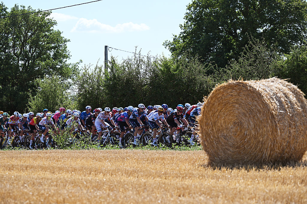 LAVAL, FRANCE - JULY 12: A general view of the peloton competing during the 112th Tour de France, Stage 8 a 197km stage from Saint-Meen-le-Grand to Laval (Espace Mayenne) / #UCIWT / on July 12, 2025 in Laval, France. (Photo by Tim de Waele/Getty Images)