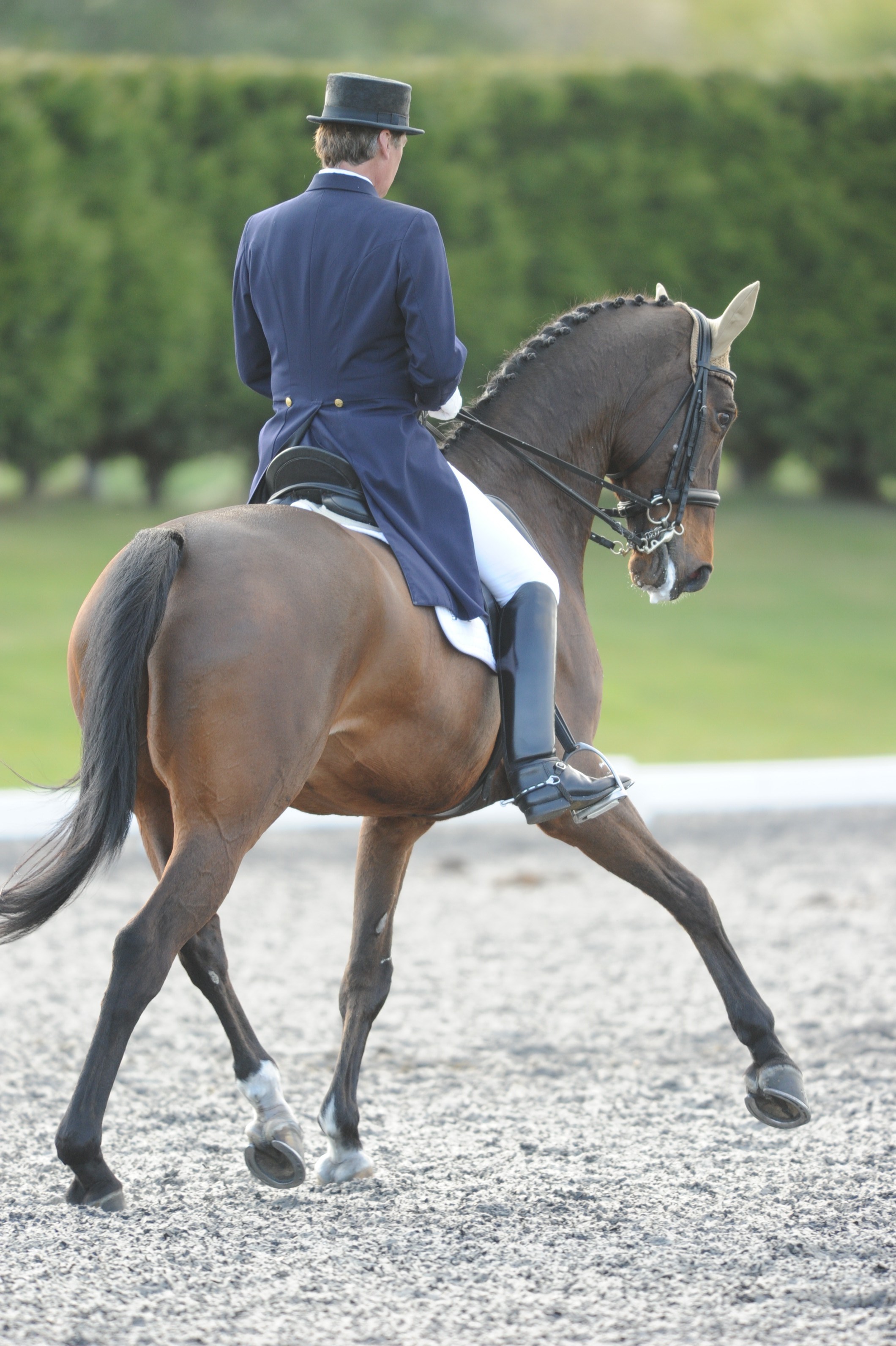 Dressage movement