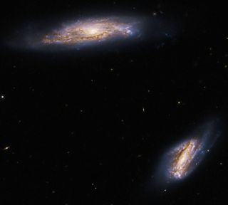 The Hubble Space Telescope imaged two spiral galaxies, collectively known as Arp 303. The pair are individually called IC 563 (bottom right) and IC 564 (top left).