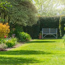 lawn with flower beds and bench