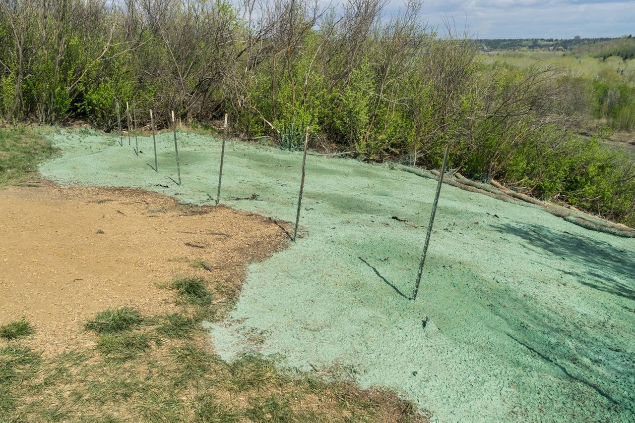 Grass Seed Spray Over Dirt