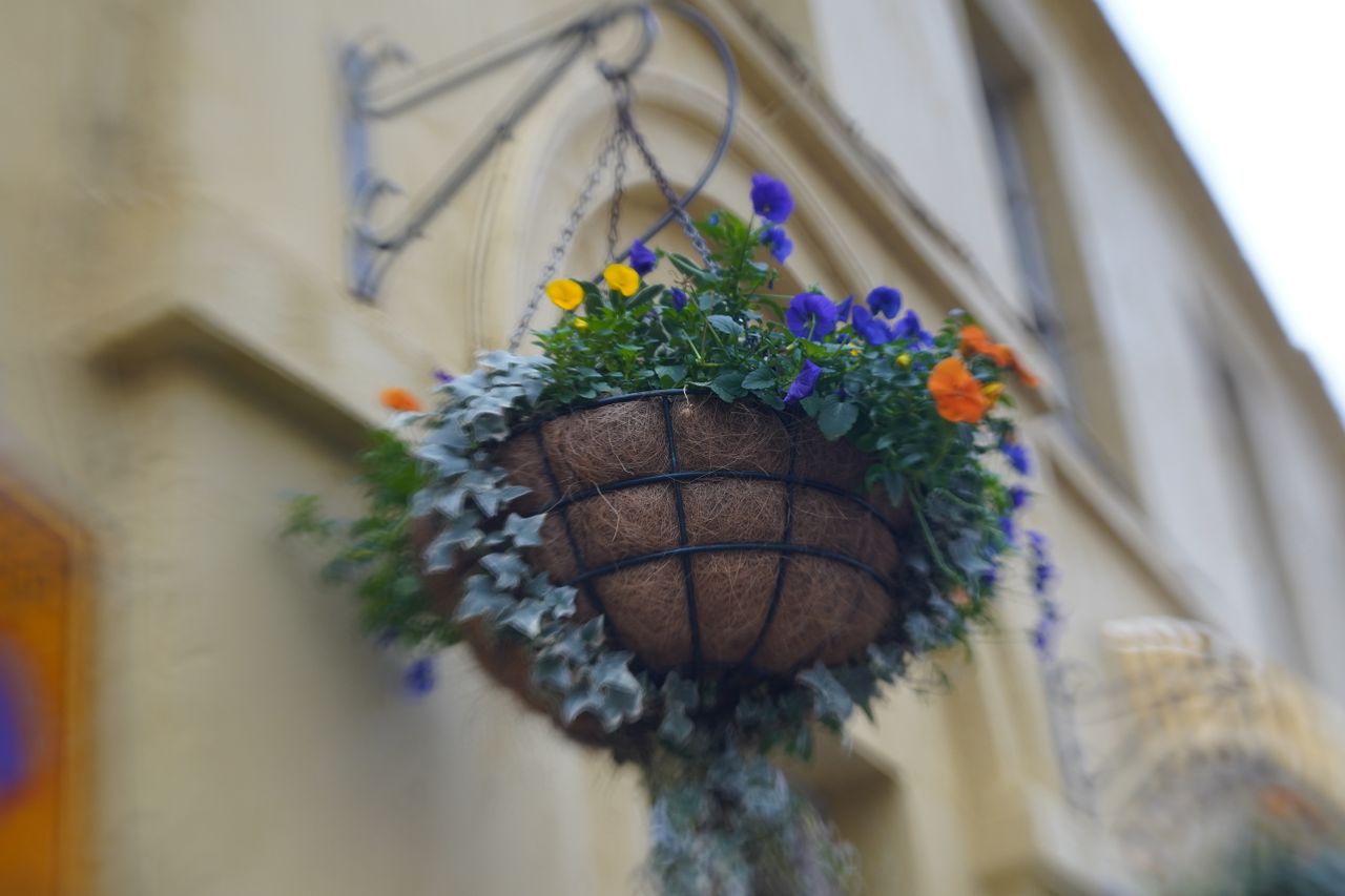 Lensbaby Double Glass II Optic Review
