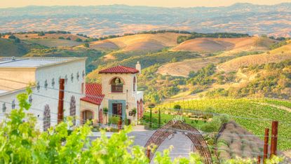 The stunning Daou Vineyards in Paso Robles