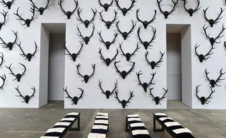 Lots of black stag heads on the wall