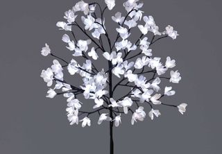 Aldi garden lighting solar magnolia tree