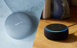 A side-by-side picture of the Nest Mini and Echo Dot
