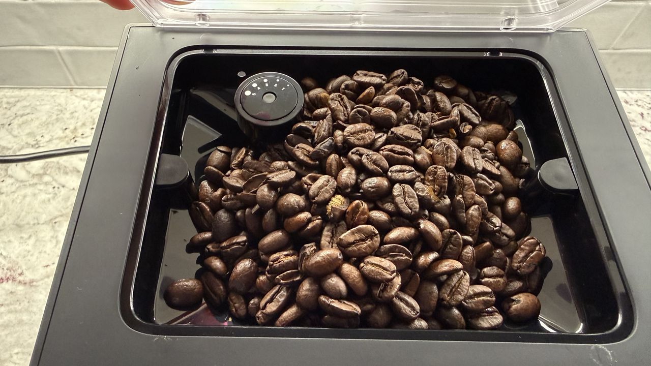 Terra Kaffe Demi various views