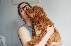 pets lockdown