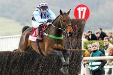 Best Mate jumps the last with Jim Culloty up on their way to win the CheltenhamGold Cup, 14 March 2002, at the Cheltenham Festival. It was a first Gold Cup triumph for jockey Jim Culloty, trainer Henrietta Knight and owner Jim Lewis. The three-day meeting at Cheltenham, South-West England, is the pinnacle of English horse racing&rsquo;s jumping season. AFP PHOTO GERRY PENNY/gp (Photo by GERRY PENNY / AFP) (Photo by GERRY PENNY/AFP via Getty Images)