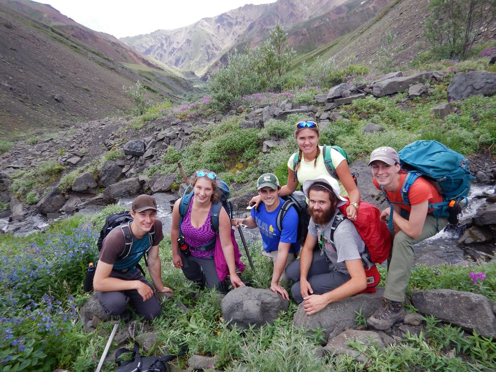 Photos See the 1st Dinosaur Bones Ever Found in Alaska's Denali