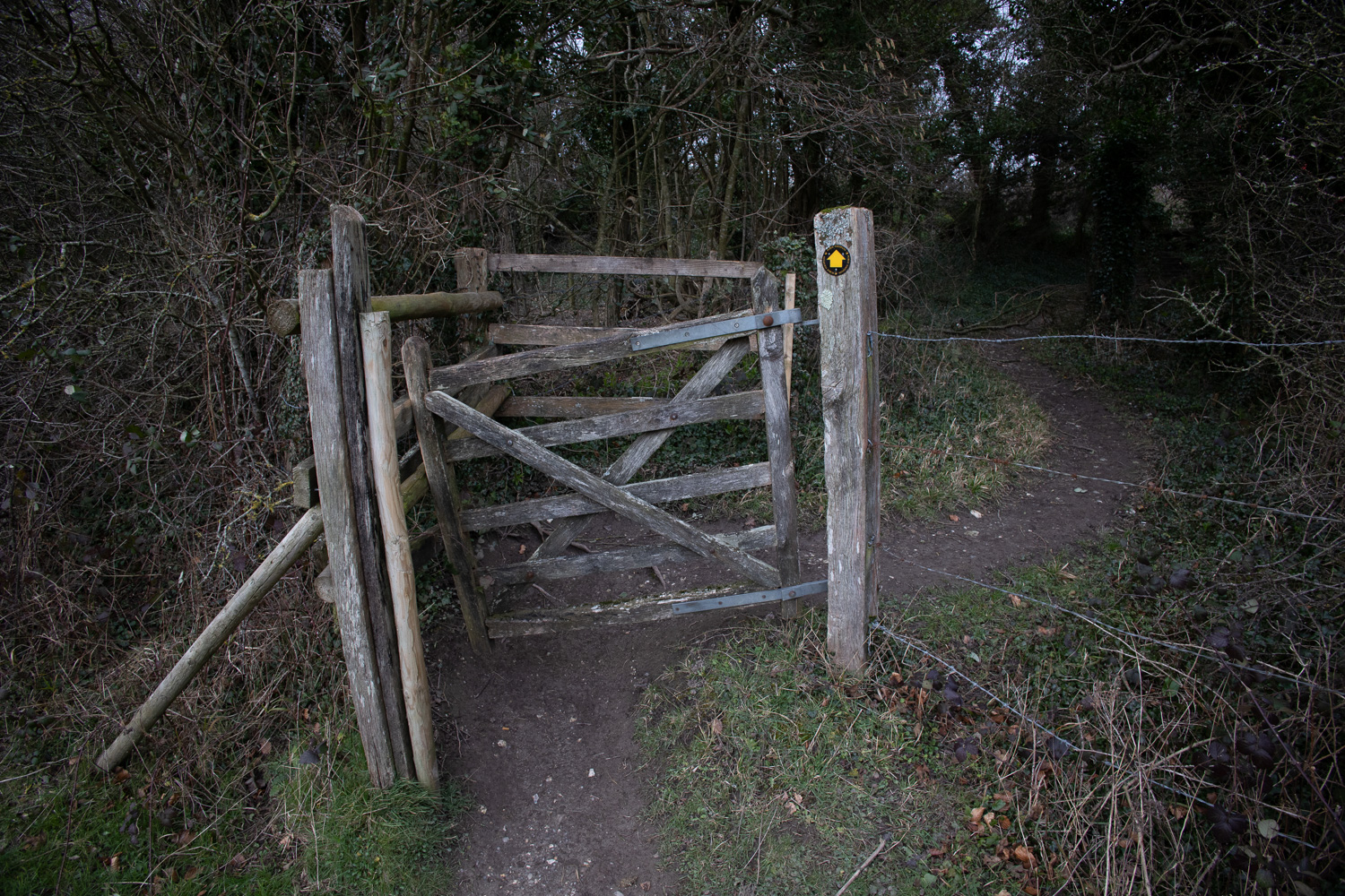Um portão de madeira