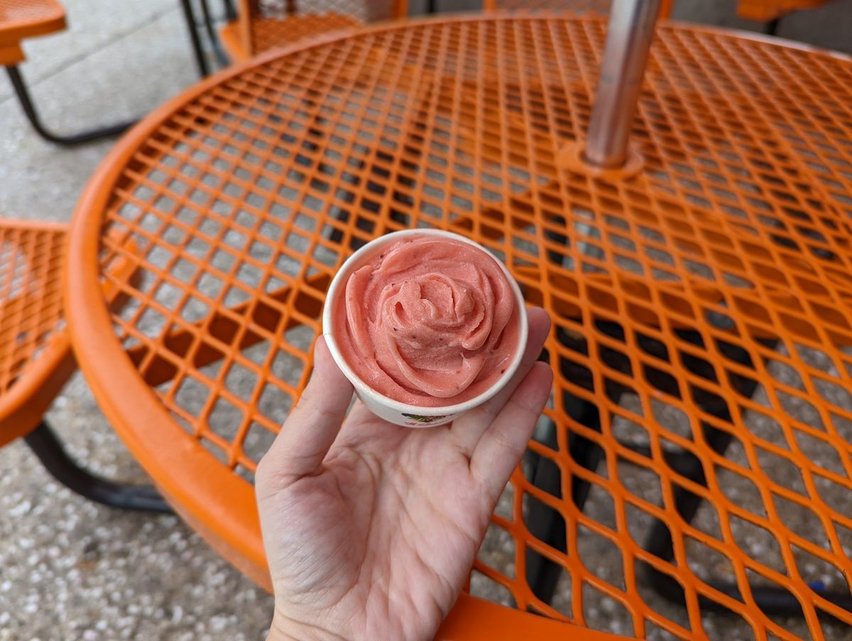 Pixel 6 Camera Samples Gelato Rose