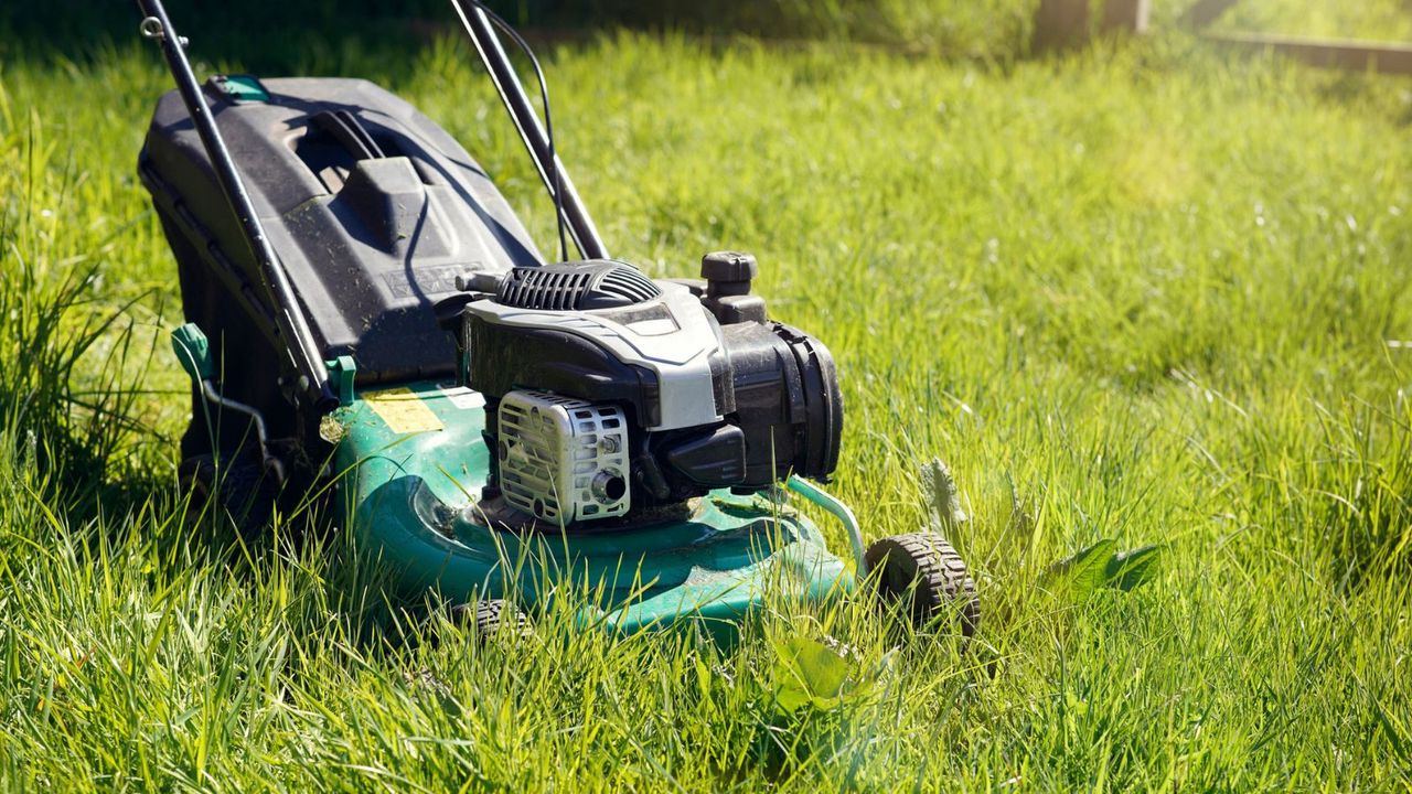 Why won&#039;t my lawnmower start? A lawn mower in long grass