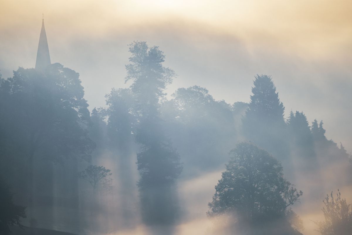Nikon D850 with AF-S 500mm f/5.6E PF ED VR, f/5.6 at 1/5000sec, ISO250