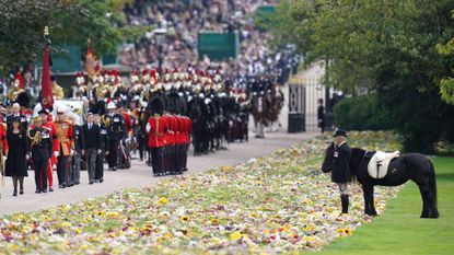 Emma the pony at Queen Elizabeth&#039;s funeral