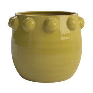 Birch Lane™ Brocka Terracotta Pot Planter