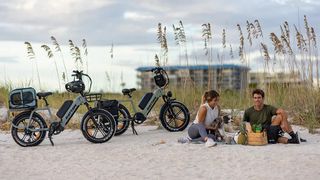 Man and woman having picnic beside Rattan Quercus e-bikes