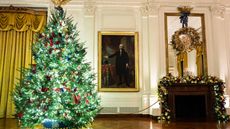 White House Christmas Tree
