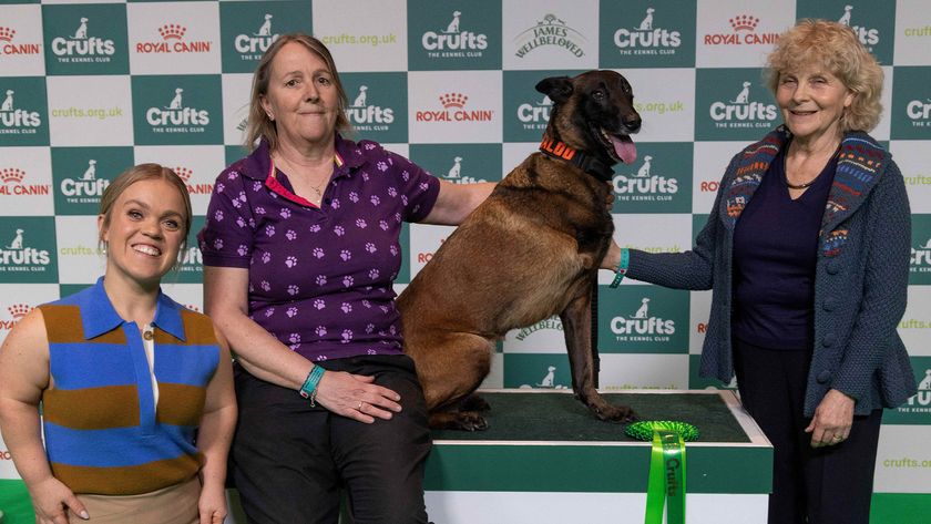 Mandy Chapman with Baloo pictured with Ellie Simmonds &amp; Jo Hamilton