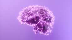 3D human brain with connection dots and plexus lines.