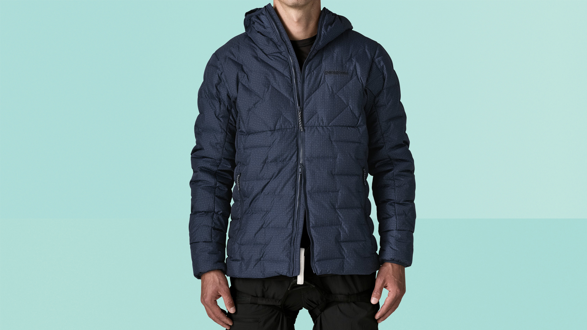 Patagonia Durable Down Hoody