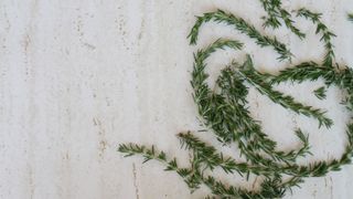 Rosemary Leaves On Garden Table - stock photo