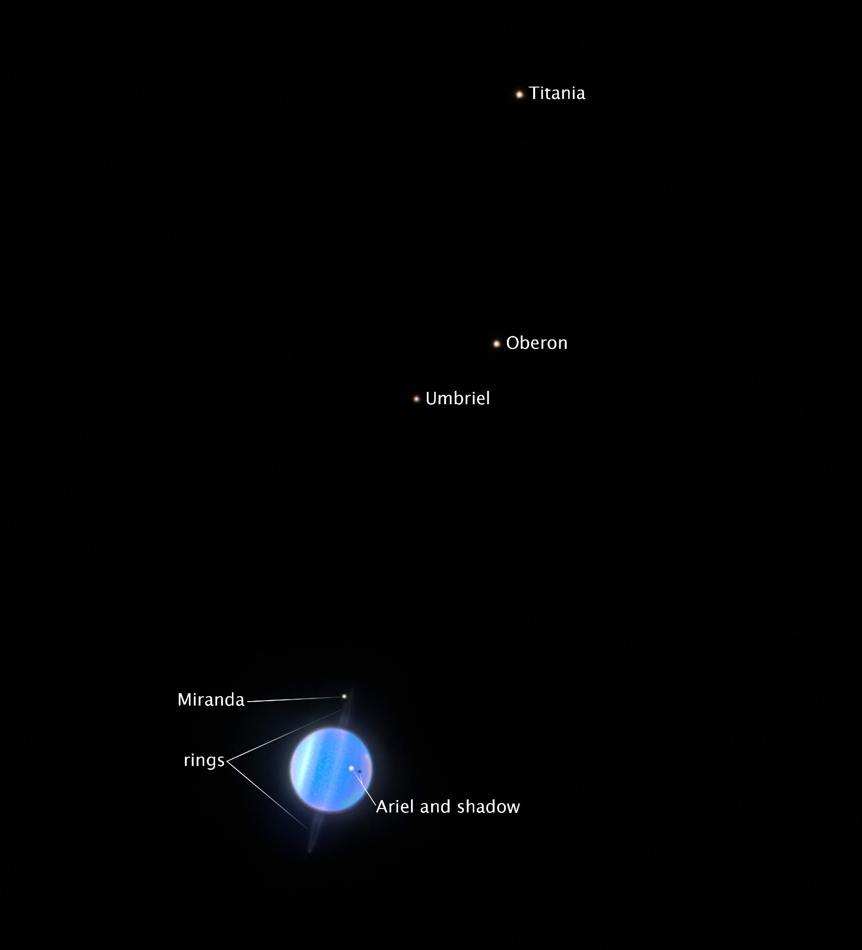 a blue orb surrounded by smaller white orbs on a white background