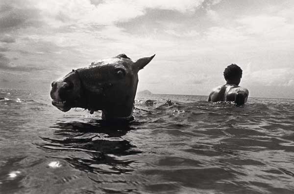 A photo of a man and a horse in deep water, facing in opposite directions