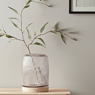 plant in fluted glass vase on pale wooden base