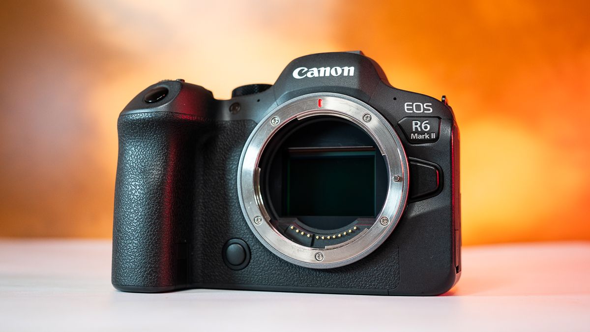 We tested the Canon EOS R6 II in a nature reserve — here’s our verdict