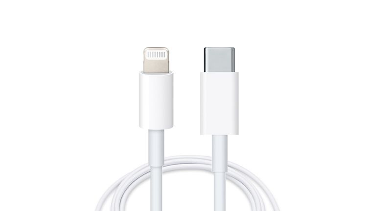 Apple USB-C Lightning cable