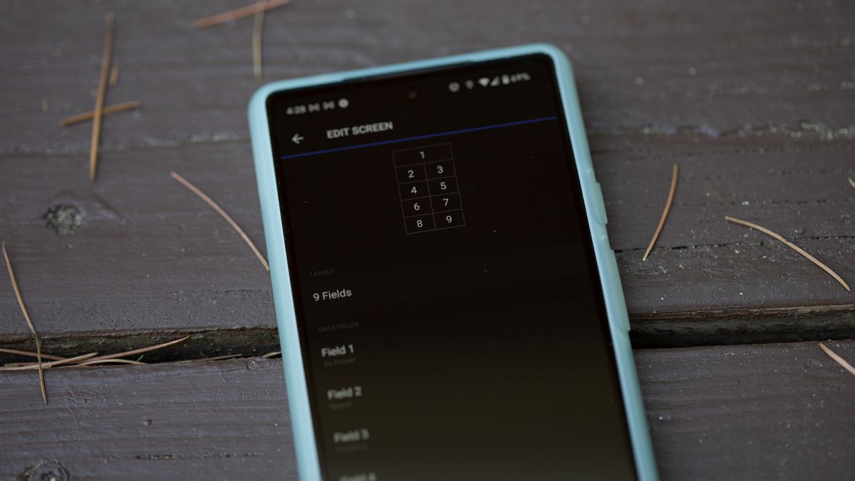 Garmin 1040 Solar phone setup screen