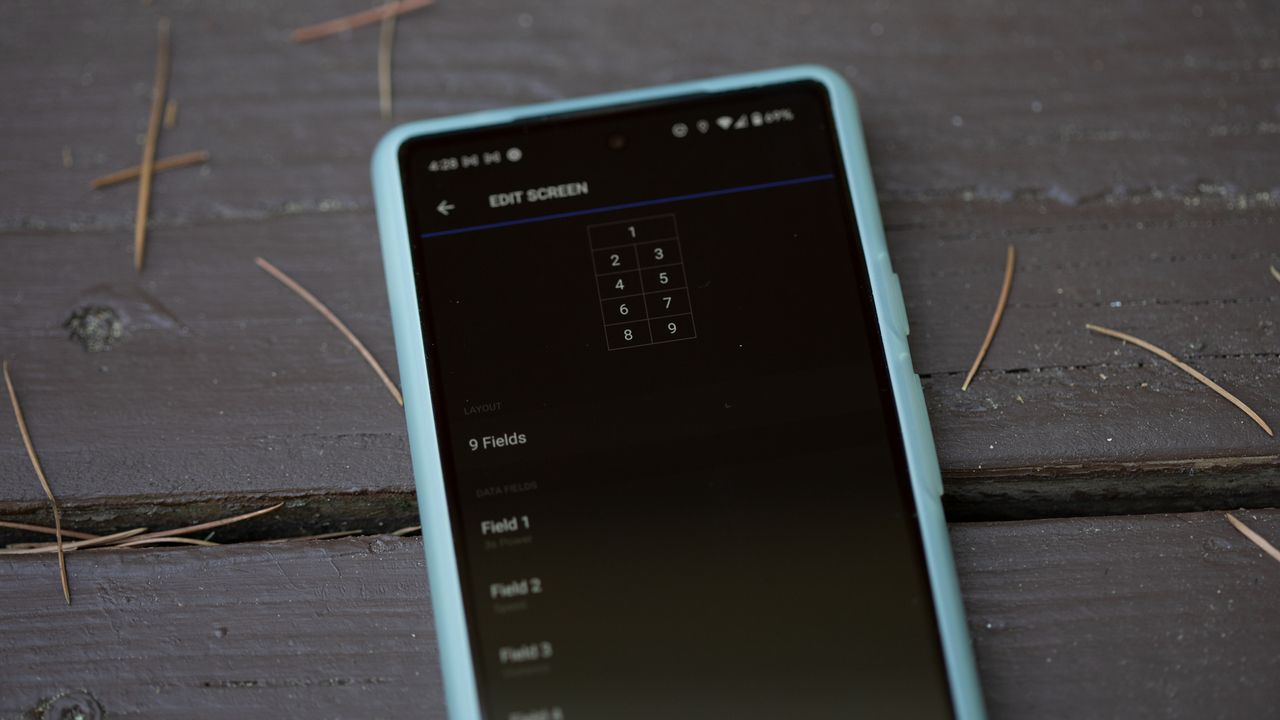 Garmin 1040 Solar phone setup screen