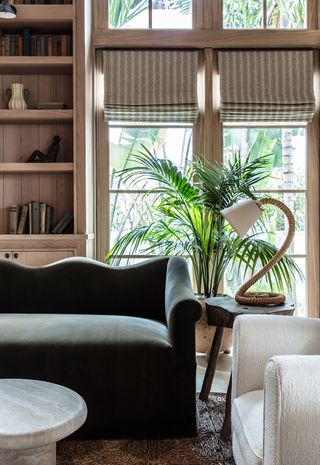 living room with green sofa and large plant