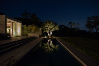 Nighttime at Austin house by Studio DuBois and Elizabeth Stanley design.