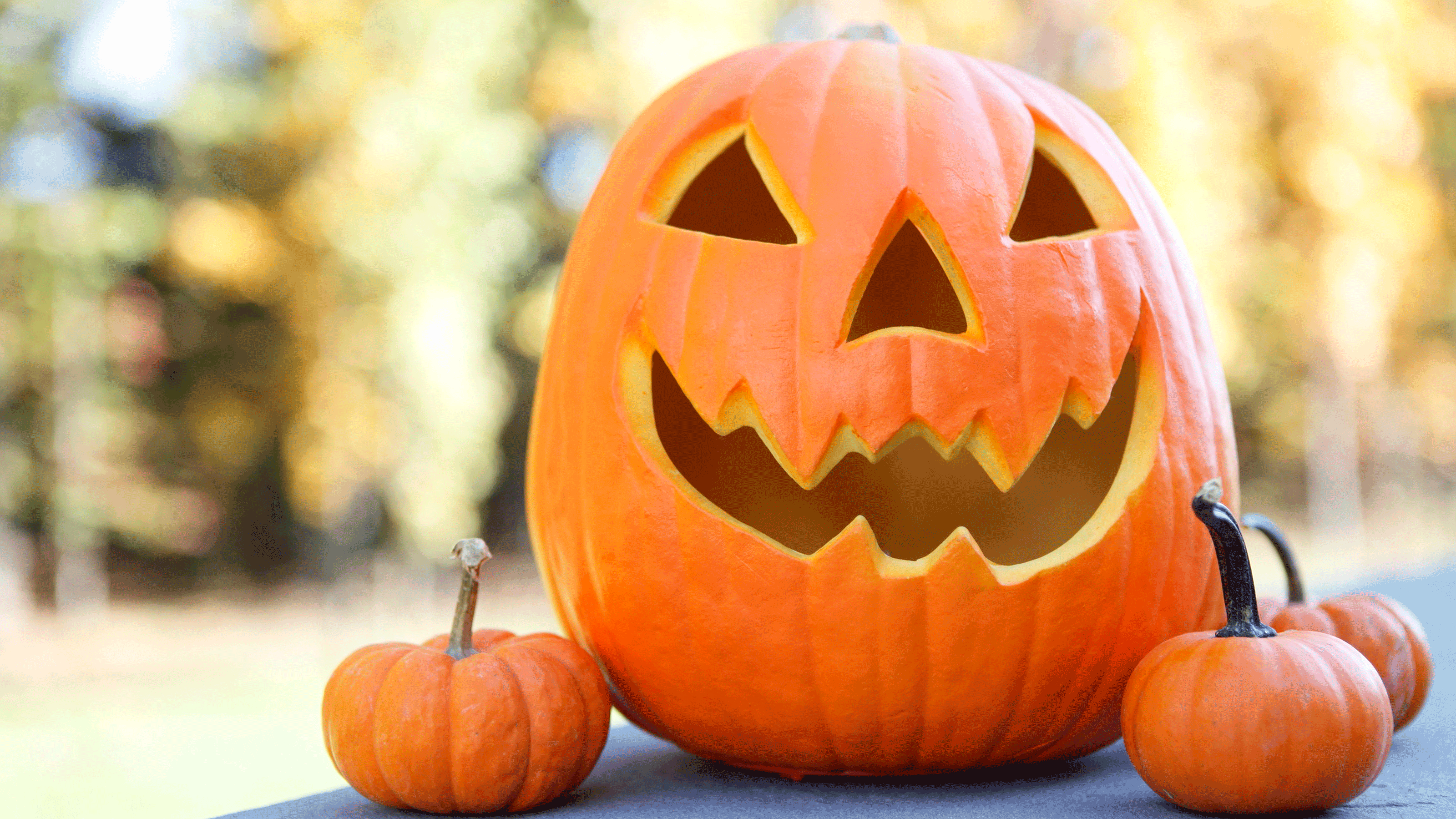 carved pumpkin and small pumpkins